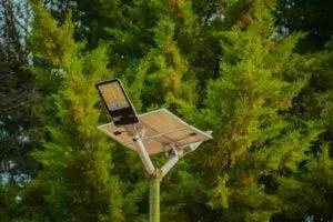 A solar-powered street light set against vibrant green conifer trees, symbolizing sustainable energy.